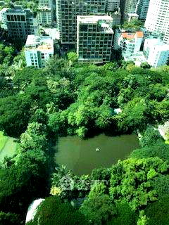Condos for sale : 2-BR Condo at Oriental Residence near BTS Phloen Chit (ID 566561)
