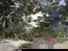 listing thumbnail image 17
