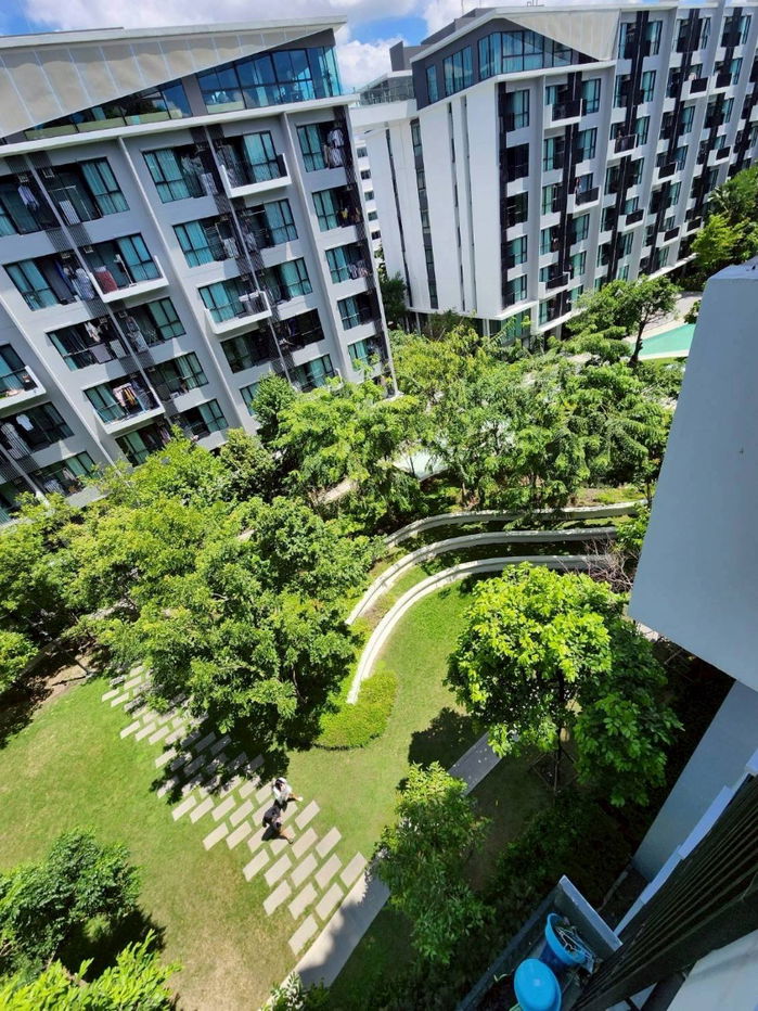 รูป ด่วน!!! 🏡 ให้เช่า Kave Town Shift 💖 ตึก C ชั้น 6 ✨ แต่งสวย ครบครัน วิวกลางสวน - รูปที่ 15/16
