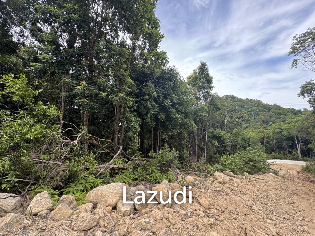 picture Sea View Land for Sale in Maduwan Koh Phangan – 1,600 sqm | Freehold - 13/19