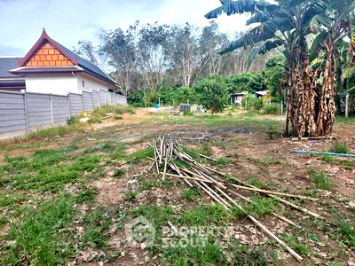 Land for sale Thalang Phuket : 950 m² Land for Sale in Si Sunthon (ID 2143177)