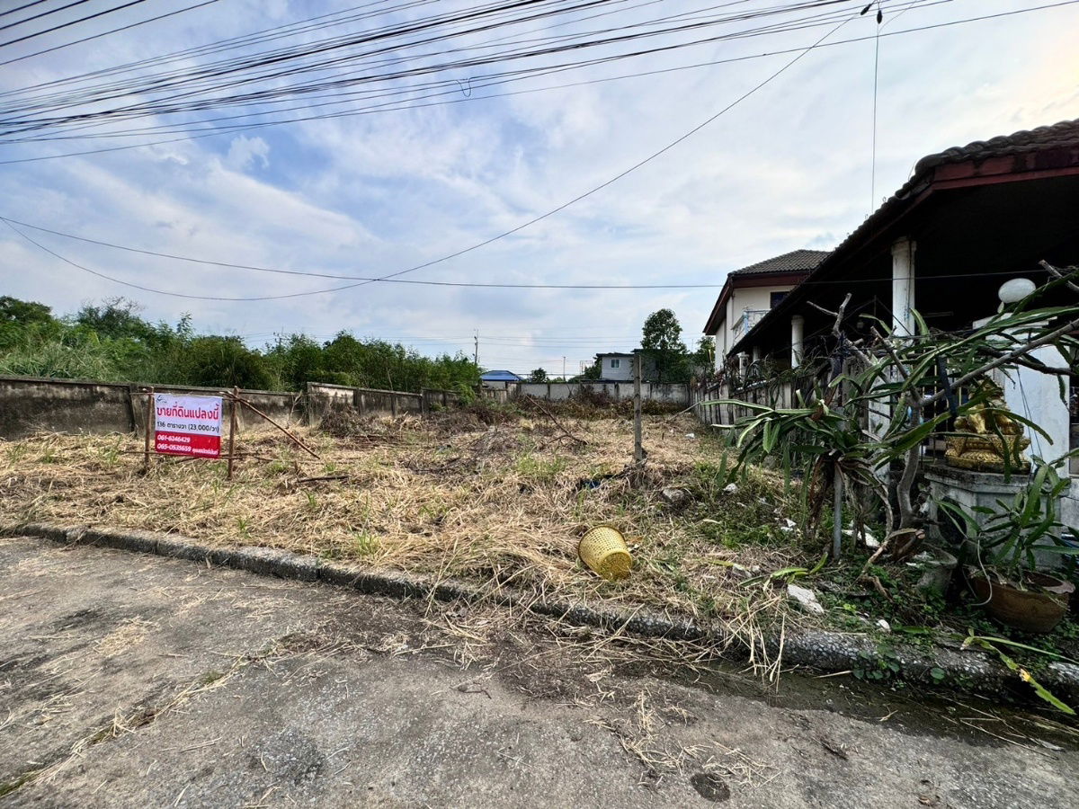 picture Land for sale in Muang Ek, Rangsit (Project 3), 136 sq m, filled in, Muang Pathum Thani, near Rangsit University (N.1483) - 5/7