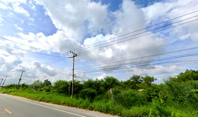 ขายที่ดิน : ขายที่สีม่วง 33 ไร่  ต.คลองนิยมยาตรา อ.บางบ่อ จ.สมุทรปราการ