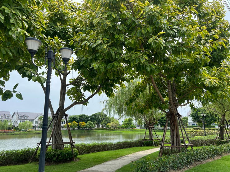 รูป บ้านตัวอย่างพร้อมอยู่ ราคาพิเศษ หน้าคลับเฮ้าส์และทะเลสาบ - รูปที่ 4/23