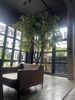 listing thumbnail image 16