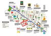 listing thumbnail image 18