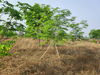 listing thumbnail image 30