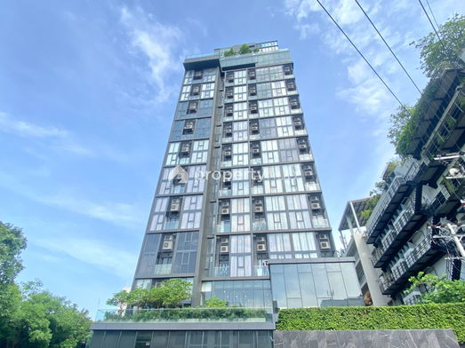 รูป Cooper Siam - รูปที่ 3/8