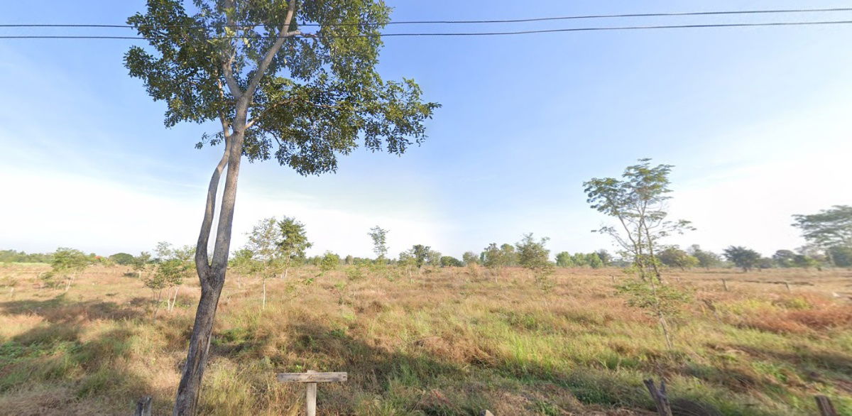 รูป ขายที่ดินพร้อมสวนป่า ต้นพะยุงและไม้เนื้อแข็ง บริเวณบ้านหนองกะเดา ต.หนองกุงเซิน อ.ภูเวียง จ.ขอนแก่น - รูปที่ 17/32