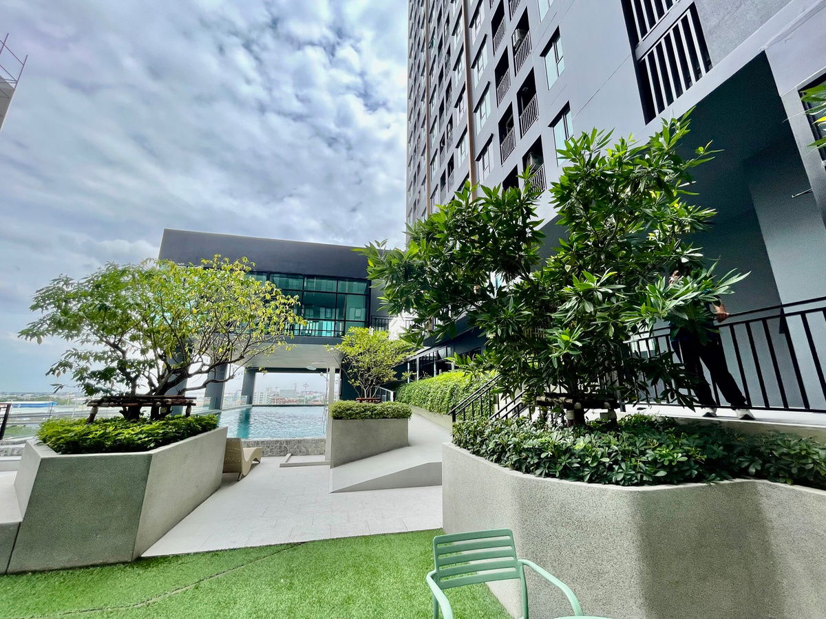 picture Terra Residence Rangsit for rent - 15/32