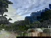 listing thumbnail image 16