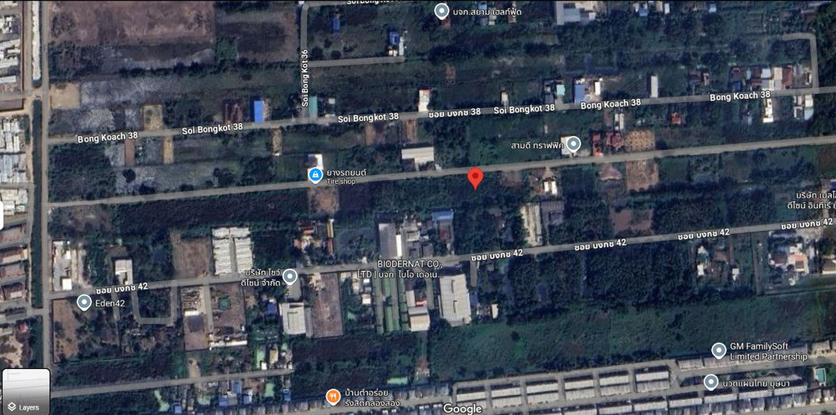 picture Below Market Price! Vacant Land Near Future Park Rangsit – 200 Sq. Wah Perfect for Building a Home, Residence, or Small Business Venture - 2/3