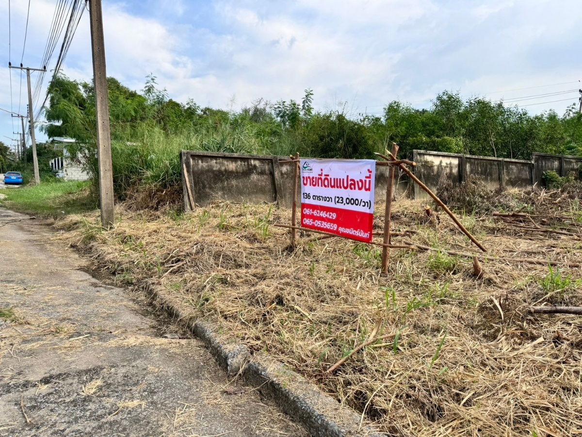 picture Land for sale in Muang Ek, Rangsit (Project 3), 136 sq m, filled in, Muang Pathum Thani, near Rangsit University (N.1483) - 1/7