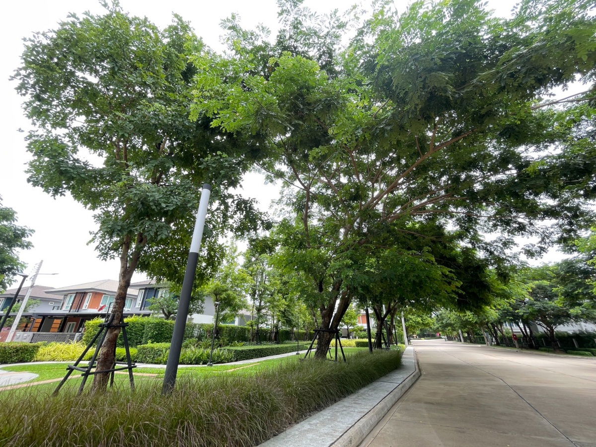 รูป โปรแรง! ทาวน์โฮมใกล้สนามบิน ใกล้ ม.ขอนแก่น เดินทางสะดวก – โครงการคุณภาพจากแสนสิริ - รูปที่ 13/14