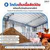 listing thumbnail image 8
