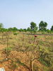 listing thumbnail image 11