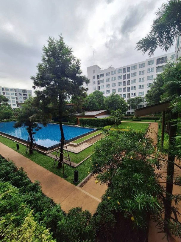picture ✅For rent, D Condo Nim, 2nd floor, pool view, 30 sq m. ☎️064-792-4426 (Ben) - 2/14