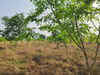 listing thumbnail image 27