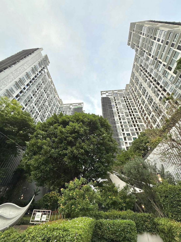 รูป ให้เช่าคอนโด IDEO Mobi Sukhumvit 81 | ติดต่อคุณทีเค Line ID @637ilhsj - รูปที่ 19/19