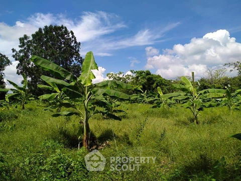 16,304 m² Land for Sale in Ao Noi (ID 2216000)