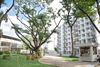 listing thumbnail image 25