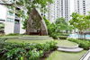 listing thumbnail image 17