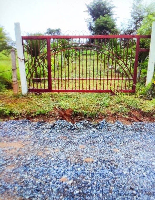 รูป ขายที่ดินพร้อมสวนป่า ต้นพะยุงและไม้เนื้อแข็ง บริเวณบ้านหนองกะเดา ต.หนองกุงเซิน อ.ภูเวียง จ.ขอนแก่น - รูปที่ 2/32