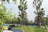 listing thumbnail image 21