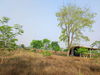 listing thumbnail image 29