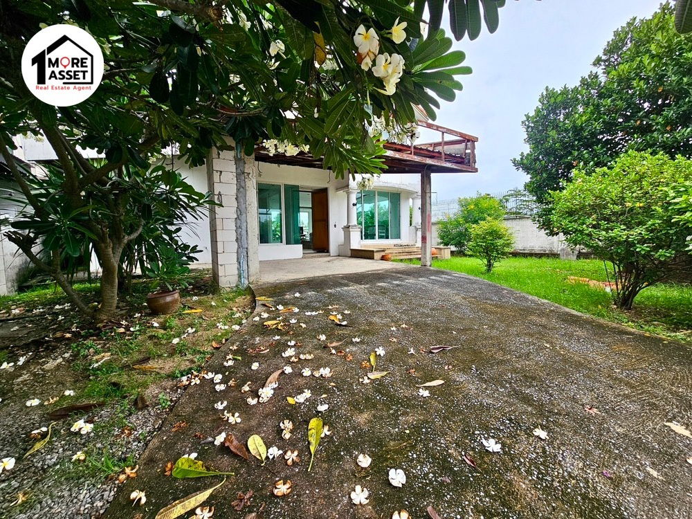 รูป ขายด่วน!! บ้านเดี่ยวนันทวัน วงแหวน-รัตนาธิเบศร์ พื้นที่เยอะ ติดถนนเมนโครงการ เหมาะสำหรับรีโนเวทอยู่เอง หรือเพื่อลงทุน - รูปที่ 3/21