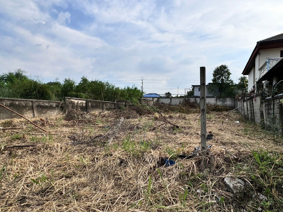 picture Land for sale in Muang Ek, Rangsit (Project 3), 136 sq m, filled in, Muang Pathum Thani, near Rangsit University (N.1483) - 7/7
