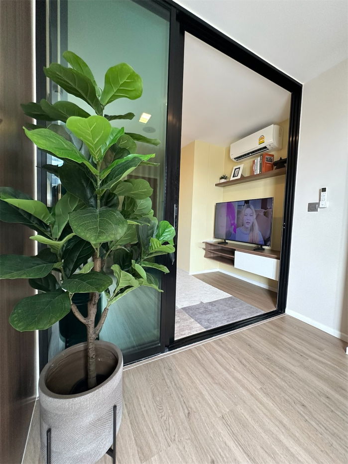 picture [ RENT ]⚡🌈 YL030204 — Atmoz Ladprao 71 ⚡🌈 LINE: @theagentpro (please include the @) - 4/21