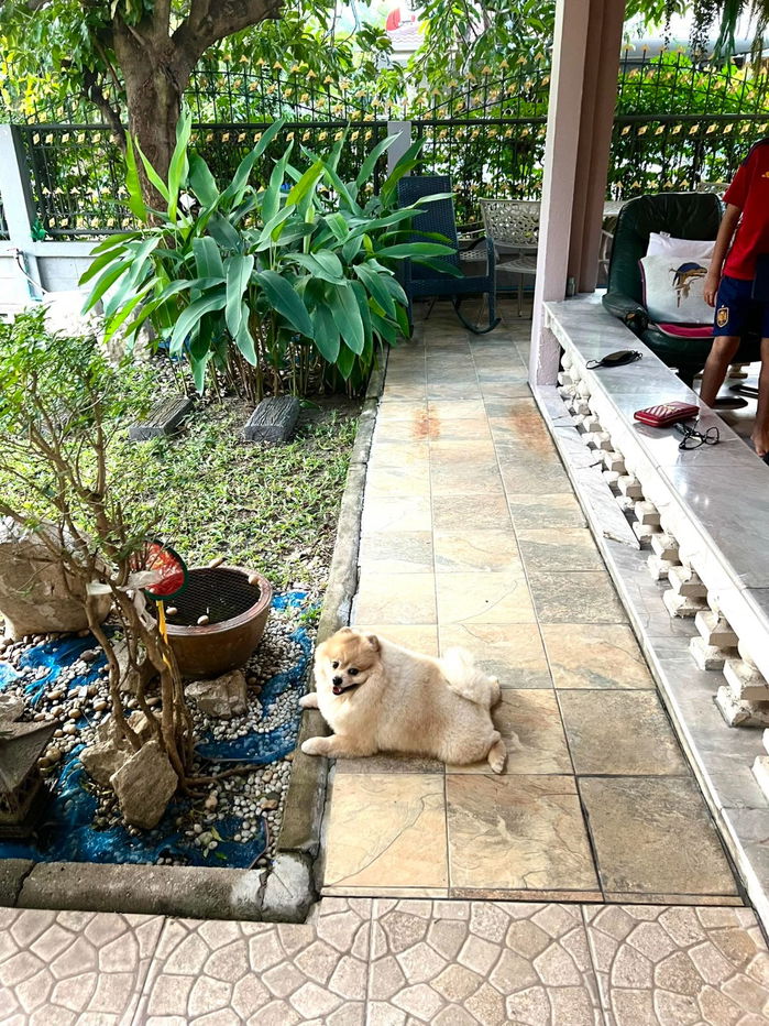 รูป ให้เช่า บ้านเดี่ยว 2 ชั้น 55 ตรว. ทาสีใหม่ อยู่ นาคนิวาส ลาดพร้าว71 - รูปที่ 6/24