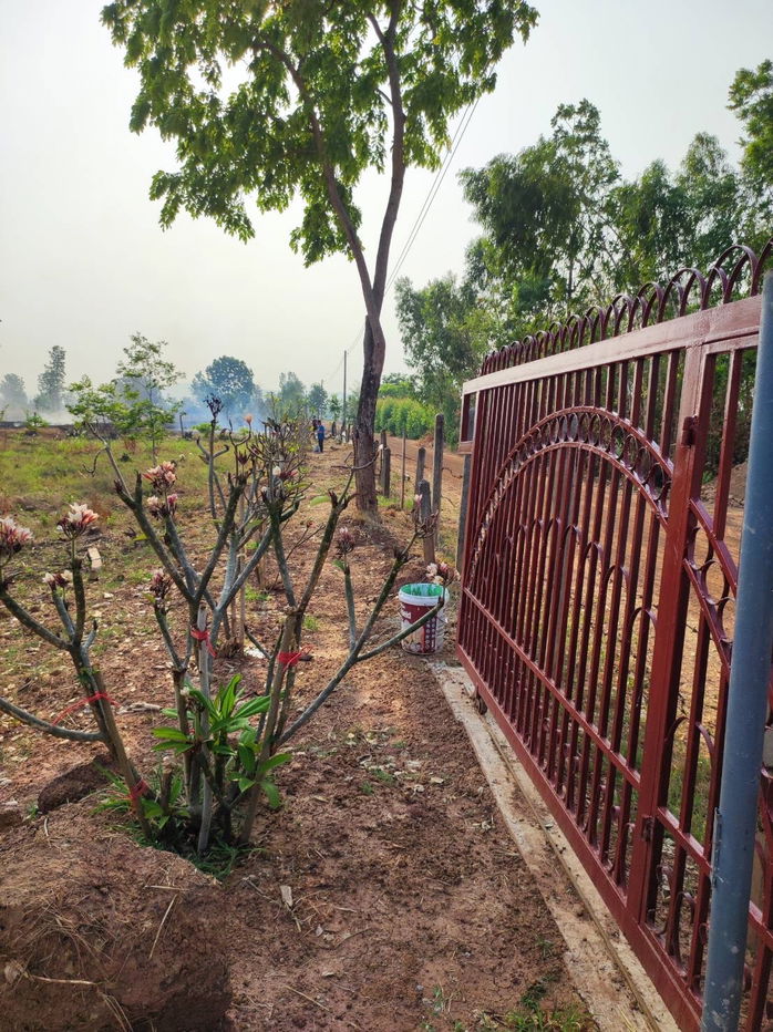 รูป ขายที่ดินพร้อมสวนป่า ต้นพะยุงและไม้เนื้อแข็ง บริเวณบ้านหนองกะเดา ต.หนองกุงเซิน อ.ภูเวียง จ.ขอนแก่น - รูปที่ 5/32