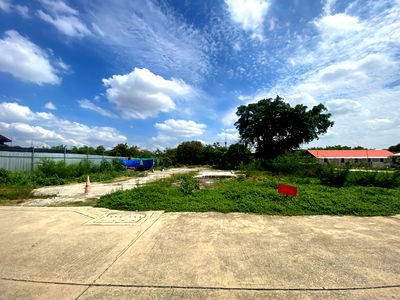 ที่ดิน ฟอร์จูนทาวน์ : ขายที่ดินเหม่งจ๋าย-พระราม 9 (ซ.สหการประมูล) 250 SQW ใกล้โครงการของแสนสิริ และโรงเรียนนานาชาติ