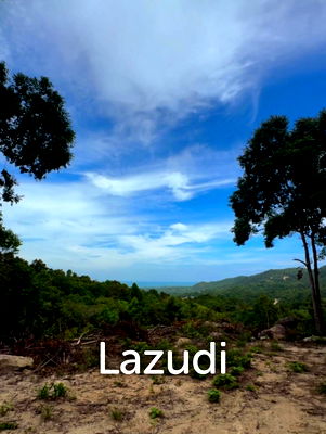 ที่ดิน เกาะพะงัน สุราษฎร์ธานี : Sea View Land for Sale in Maduwan Koh Phangan – 1,600 sqm | Freehold
