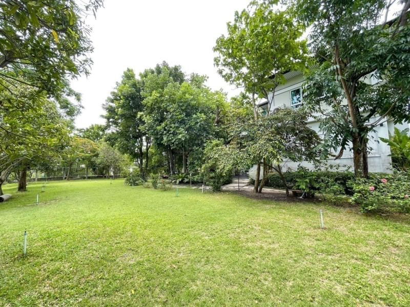 รูป 🏡 ขายบ้านเดี่ยวหรู สร้างเอง 🌳 บนพื้นที่  𝟓𝟎𝟎 ตร.ว. ถนนเพชรหึงษ์ (คุ้งบางกระเจ้า) ใกล้ตลาดบางน้ำผึ้ง ตกแต่งสวย เฟอร์นิเจอร์ครบ ไม่มีค่าส่วนกลาง - รูปที่ 2/19