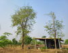 listing thumbnail image 28