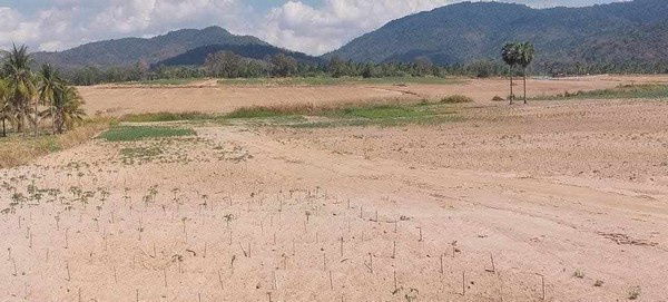 picture Yellow-Zoned Land for Residential or Mixed Use | 243 Rai | THB 2.5M per Rai | Khao Khansong, Si Racha, Chonburi Property Code: 68129 - 7/11