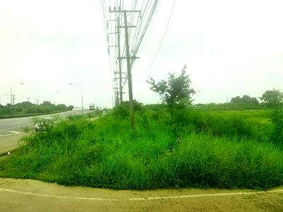 ที่ดิน ฉะเชิงเทรา : ขายที่ดิน 123 ไร่ แปลงสวยติดถนนใหญ่ ถนนสุวินทวงศ์ อ.บางน้ำเปรี้ยว จ.ฉะเชิงเทรา วิ่งเส้น 304 จากมีนบุรี  
