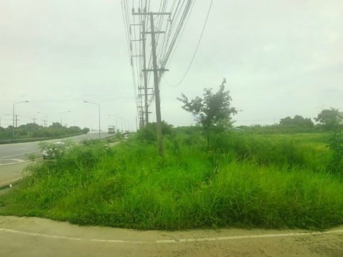ขายที่ดิน 123 ไร่ แปลงสวยติดถนนใหญ่ ถนนสุวินทวงศ์ อ.บางน้ำเปรี้ยว จ.ฉะเชิงเทรา วิ่งเส้น 304 จากมีนบุรี  