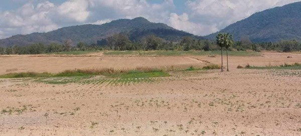 picture Yellow-Zoned Land for Residential or Mixed Use | 243 Rai | THB 2.5M per Rai | Khao Khansong, Si Racha, Chonburi Property Code: 68129 - 9/11