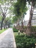 listing thumbnail image 33