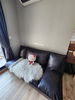 listing thumbnail image 4