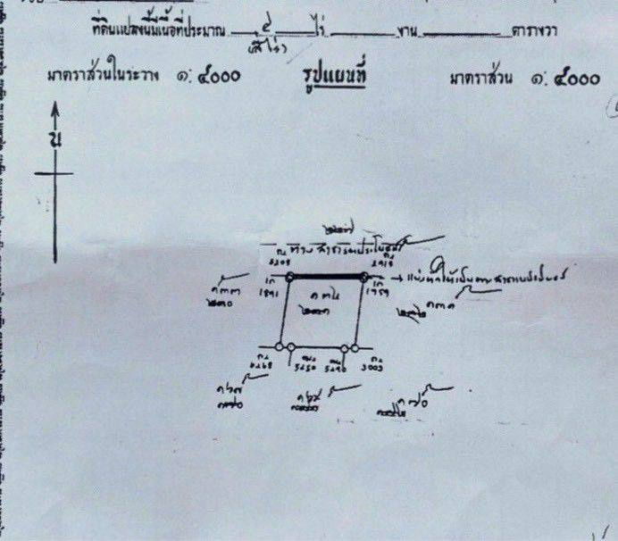 รูป ขายที่ดินเกือบ4ไร่ ถมแล้ว ซอยอยู่เจริญ พระสมุทรเจดีย์ บ้านคลองสวน สมุทรปราการ - รูปที่ 3/3
