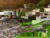 listing thumbnail image 67