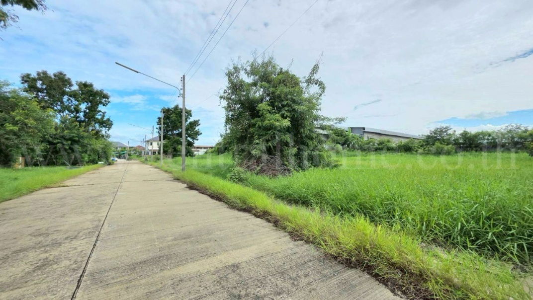 รูป ที่ดินเปล่า 98 ตร.วา ต้นโครงการ เดอะลากูน 1-2 สามโคก ปทุมธานี  - รูปที่ 3/14