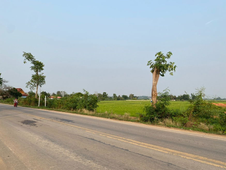 picture 🏞 Beautiful Land for Sale: 8-1-59 Rai (3,359 sq.wah) 📍Located at Mae Khao Tom Junction, near Highway CHR.1063 - 6/7