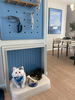 listing thumbnail image 7