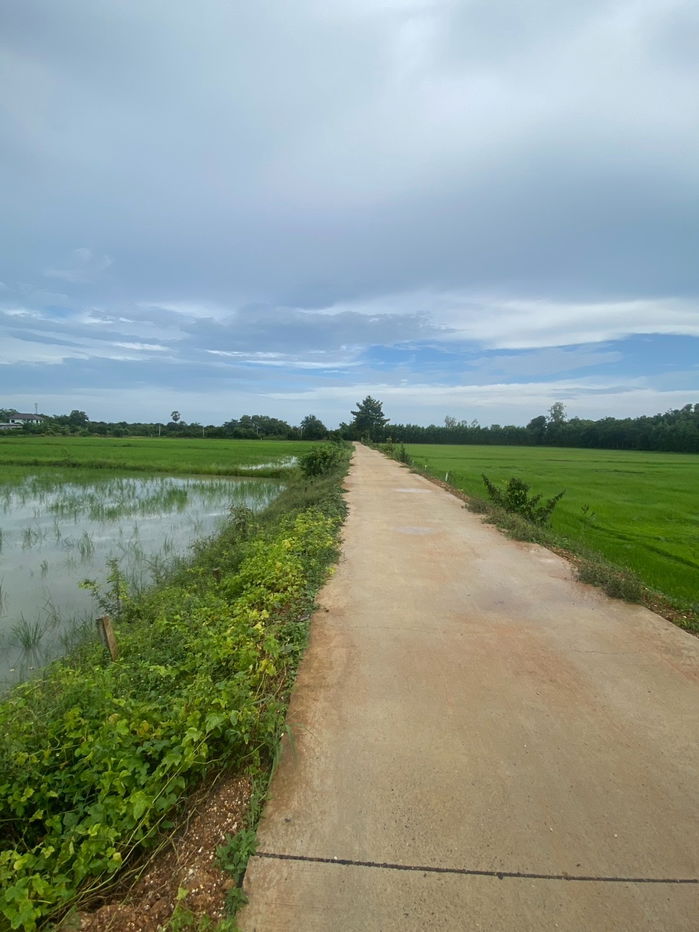 รูป ขายที่นา 5 ไร่ 1 งาน ต.เมืองใหม่ อ.ราชสาส์น จ.ฉะเชิงเทรา เหมาะกับทำการเกษตร - รูปที่ 1/7